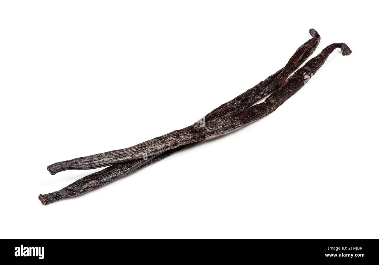 two different dried vanilla pods closeup on white background Stock Photo