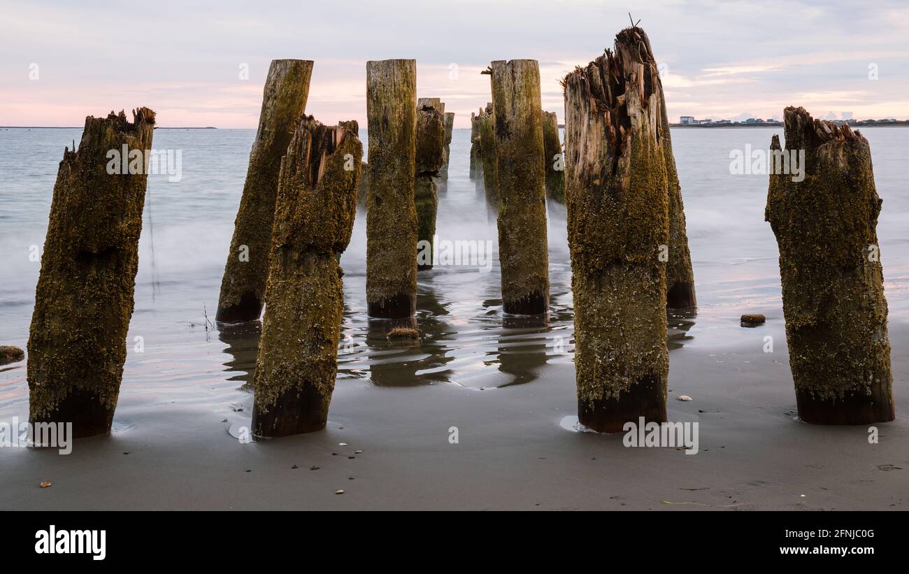 Wood dock texture hi-res stock photography and images - Alamy
