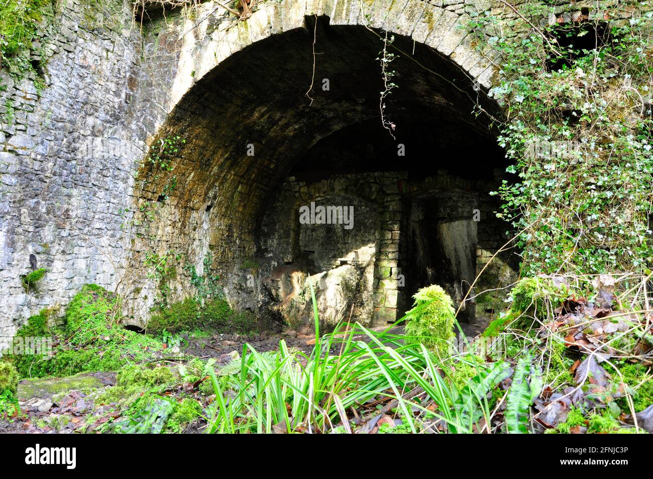 One of the trip hammer arches at the Old Iron Works, Mells , Fussells' Lower Works.This is a biological Site of Special Scientific Interest, in the Wa Stock Photo