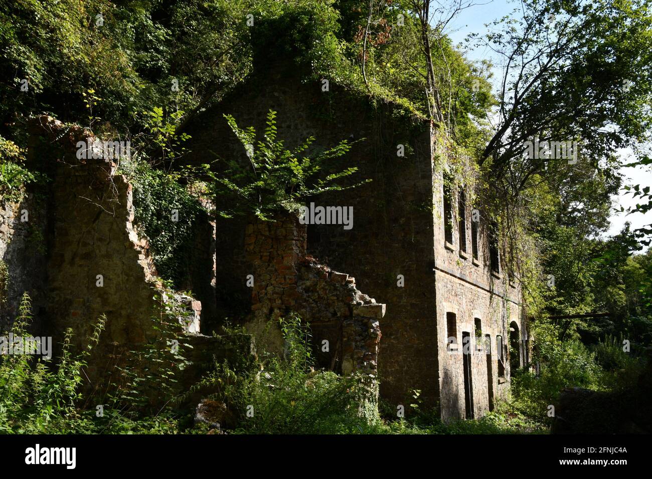 Ruins of the office block at Old Iron Works, Mells , Fussells' Lower Works.This is a biological Site of Special Scientific Interest, in the Wadbury Va Stock Photo