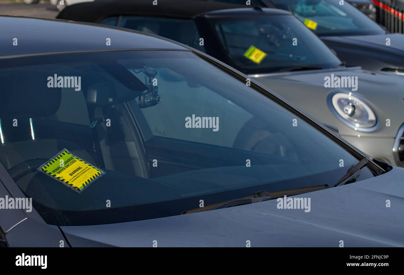 Row Of Cars Each With A Yellow Parking Ticket, Stuck On The Windscreen, Windshield UK Stock Photo