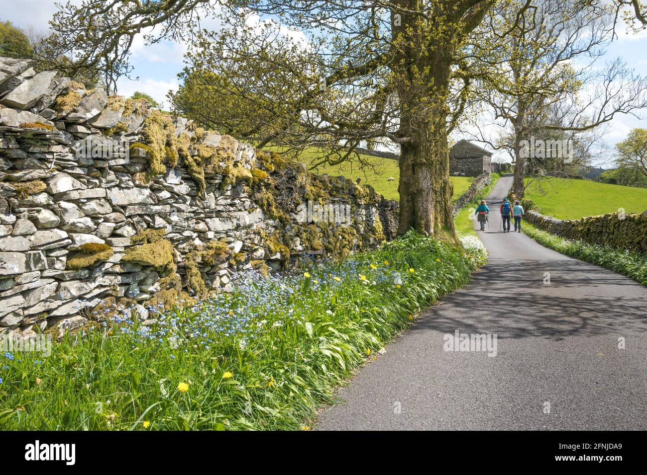People walking along a quite country lane towards Troutbeck village in the Lake District. Stock Photo