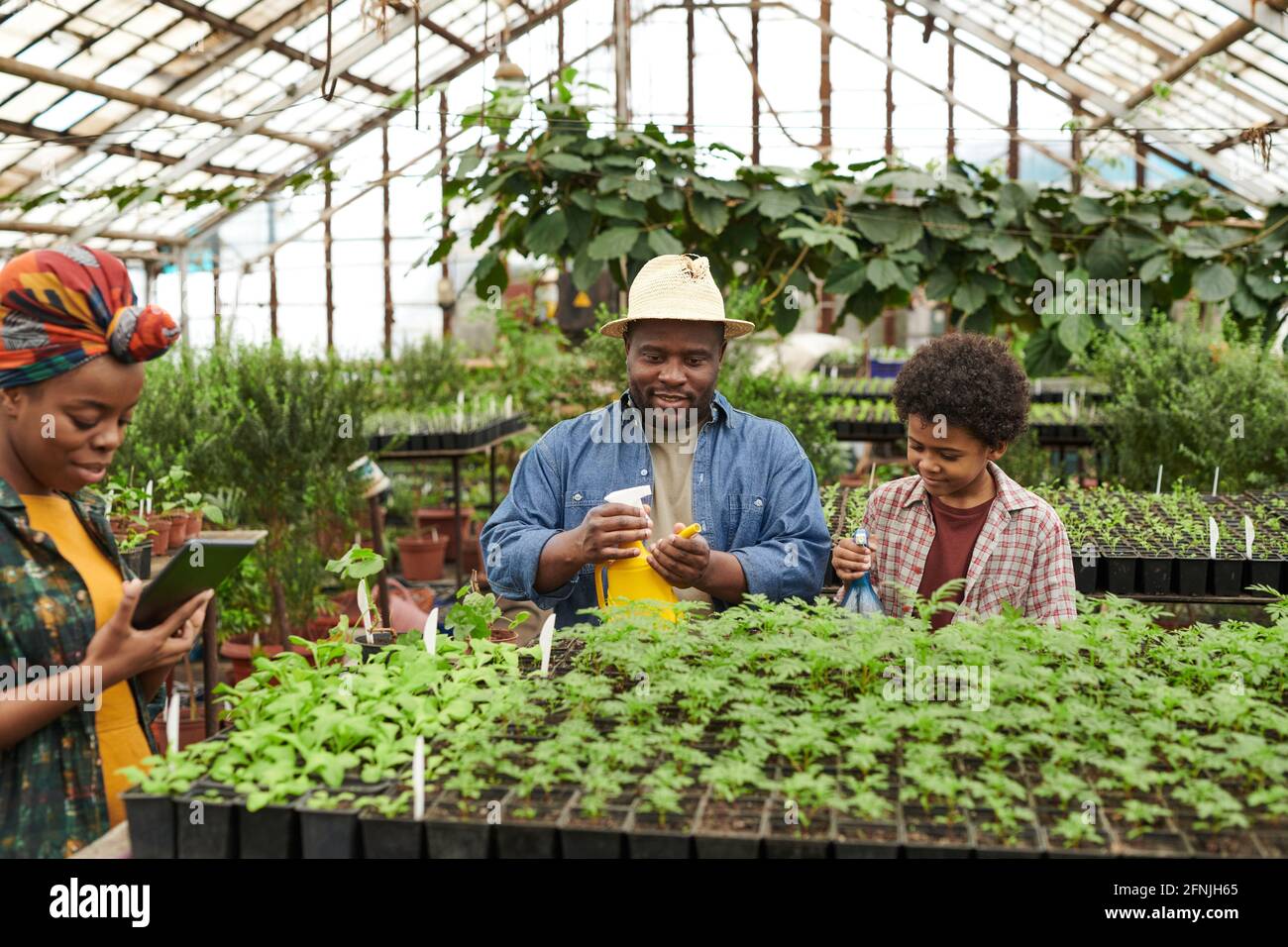 Father and son watering flowers and plants with woman using tablet pc ...