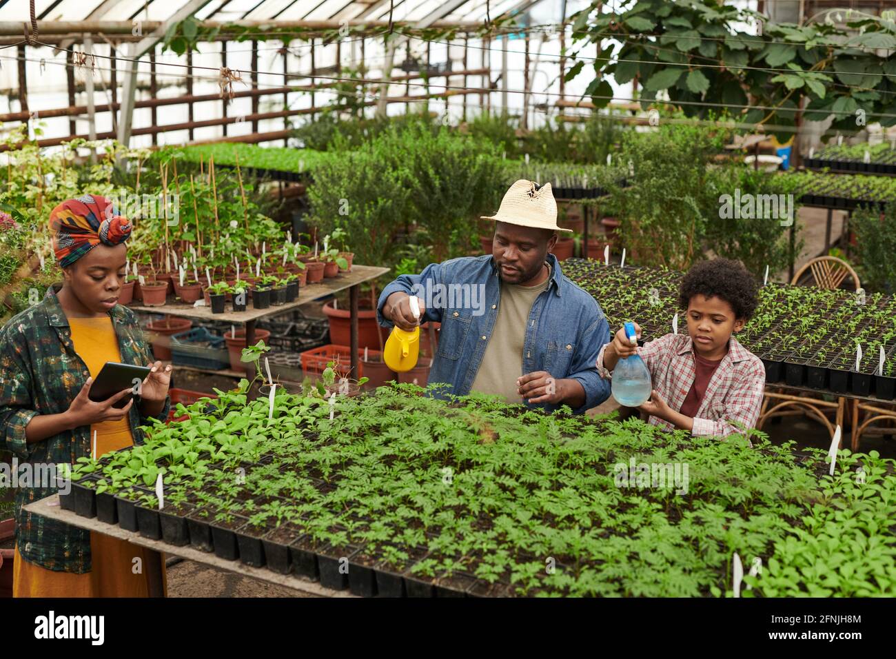 Family of three watering plants together while woman using digital tablet in the greenhouse Stock Photo