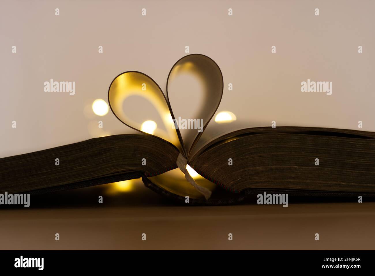 i love books and reading Stock Photo