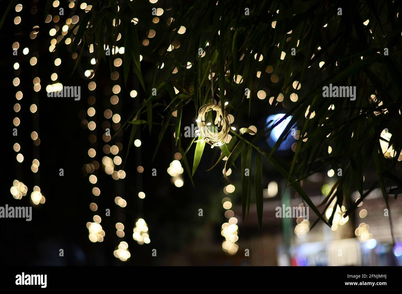 Decoration lights on the palm tree leaves with beautiful yellow bokeh ...