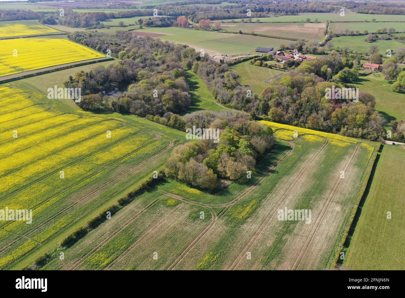 Aerial view rapeseed oil field in Norfolk UK Stock Photo - Alamy