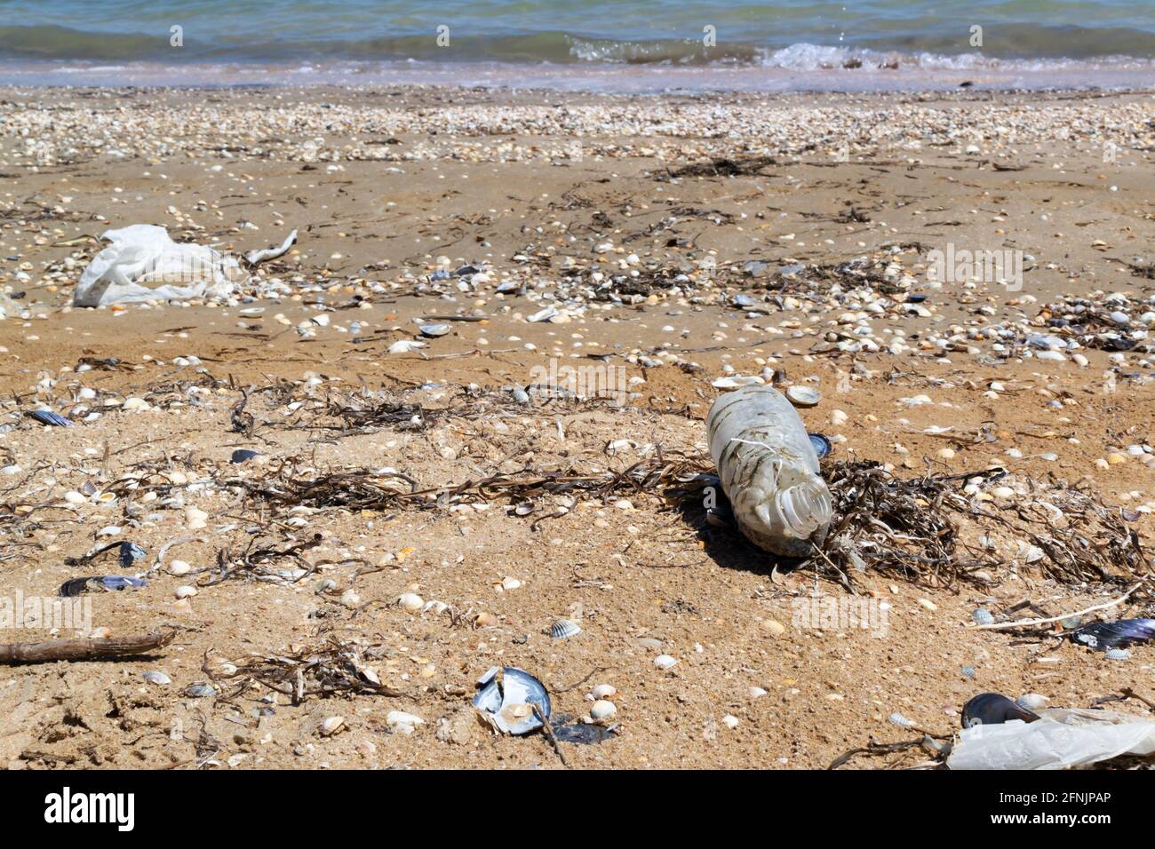 An old, semi-decomposed plastic bottle lies on the seashore among shells and sand. Environmental pollution concept. Dirty sea. Ecological problem. Cop Stock Photo