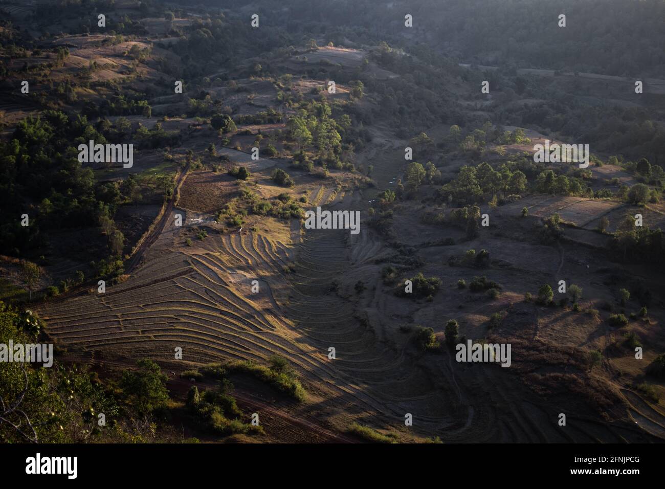 Viewpoing looking out over beautiful terraced rice fields farm lands during evening sunset between Kalaw and Inle Lake, Shan stat, Myanmar Stock Photo