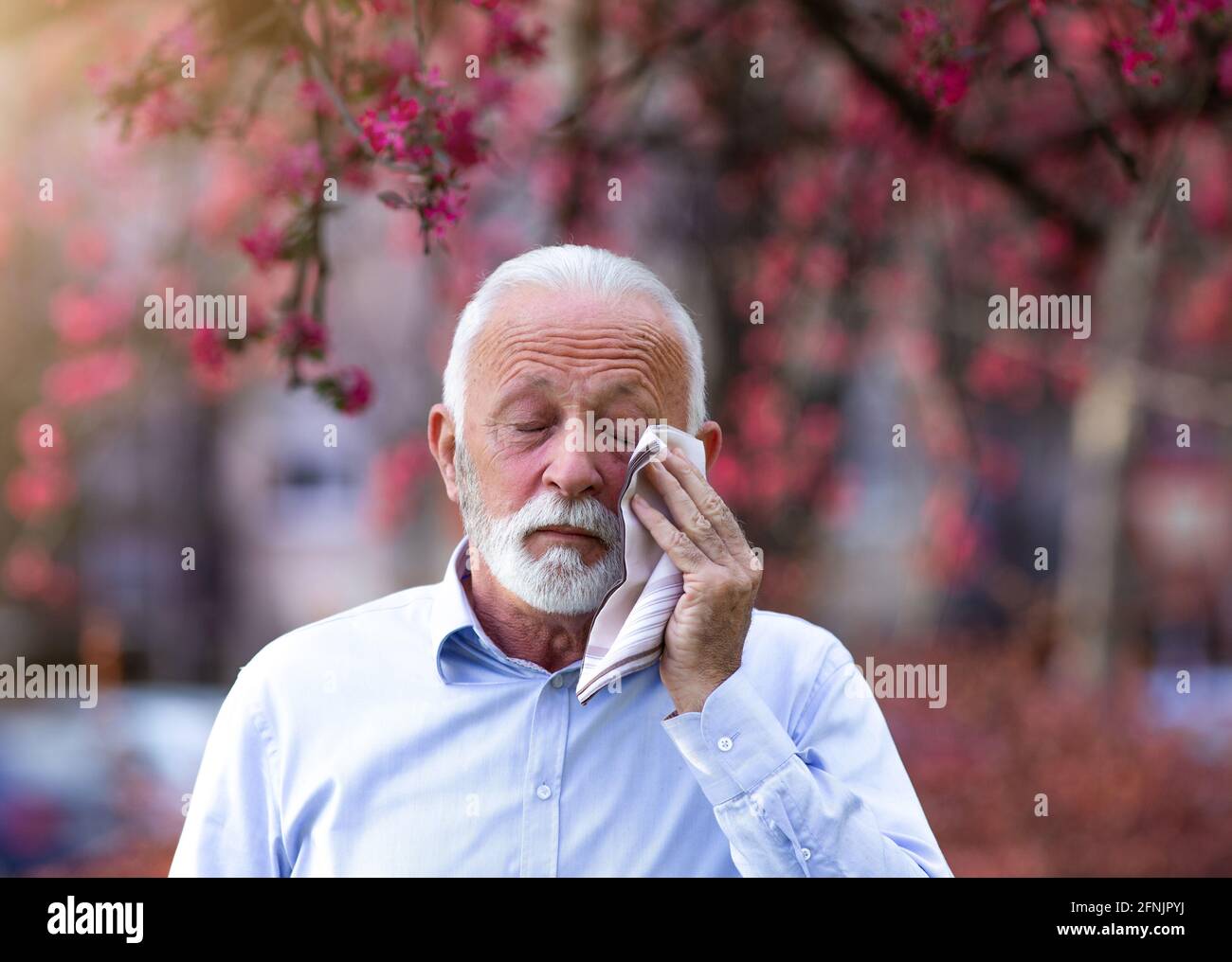 Senior man wiping eyes with tissue beside blooming tree in spring time. Itchy eyes from allergy Stock Photo