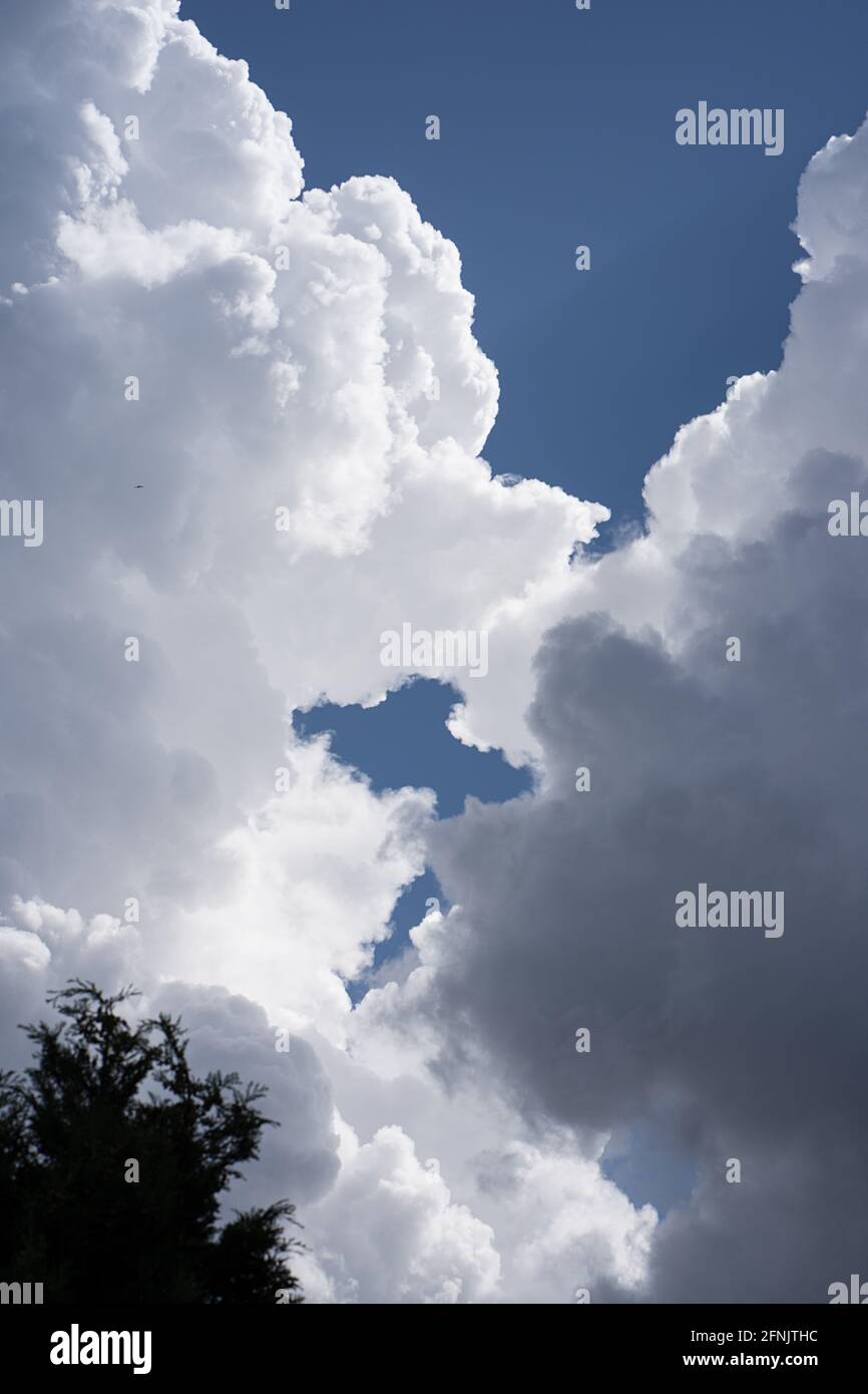Cumulus clouds in blue sky hi-res stock photography and images - Alamy