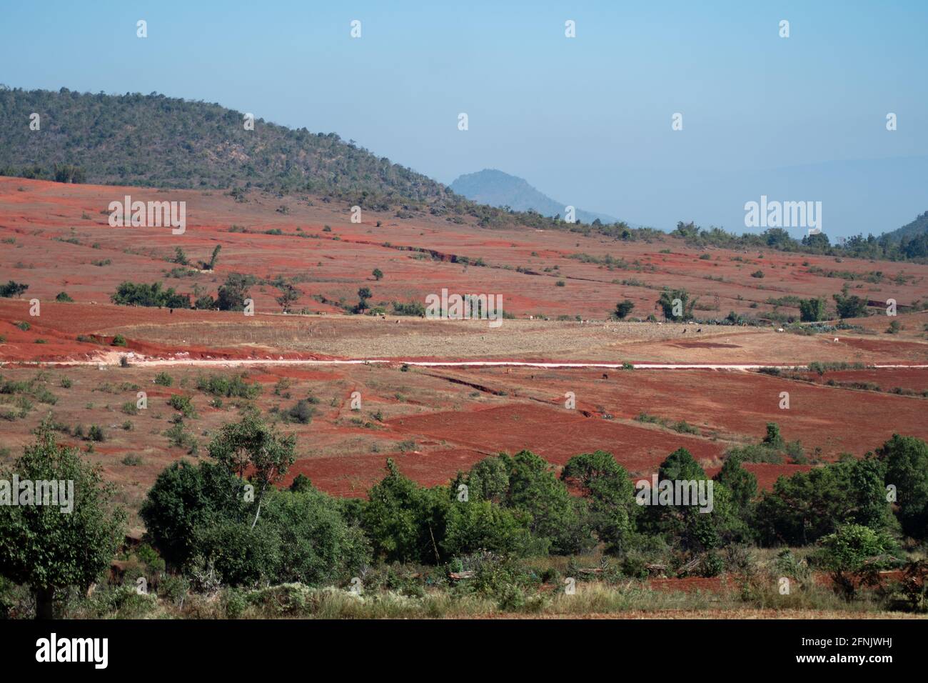 Red chili drying in the sun on massive farm land fields on a hillside between Kalaw and Inle Lake, Shan state, Myanmar Stock Photo