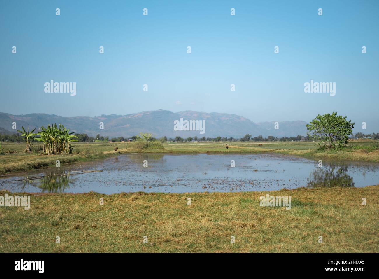 Landscape over a small water pond with mountains in the distance by a farm village near Inle Lake, Nyaung Shwe, Shan state, Myanmar Stock Photo