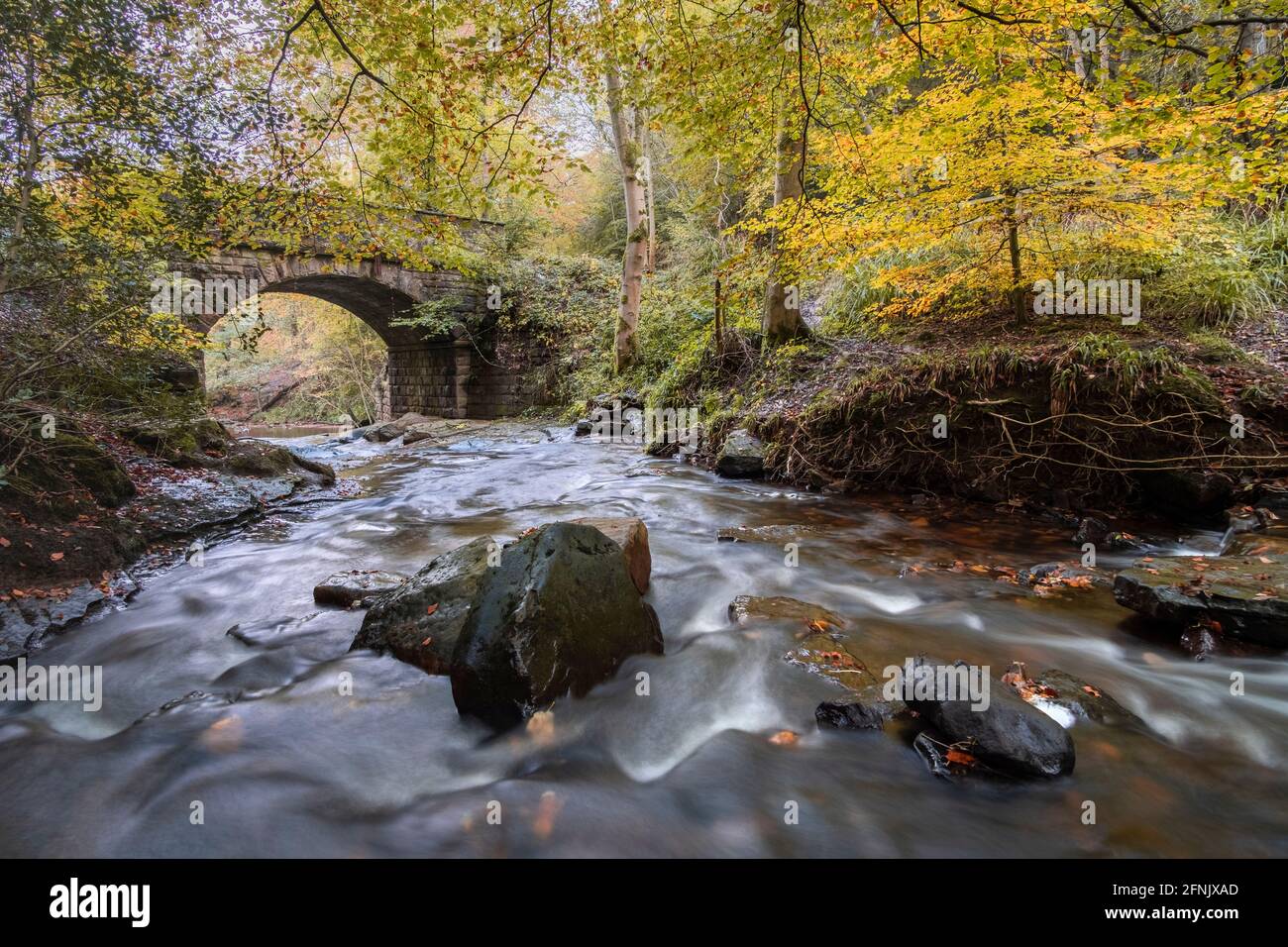 Autumn at May Beck, Sneaton Forest near Whitby Stock Photo