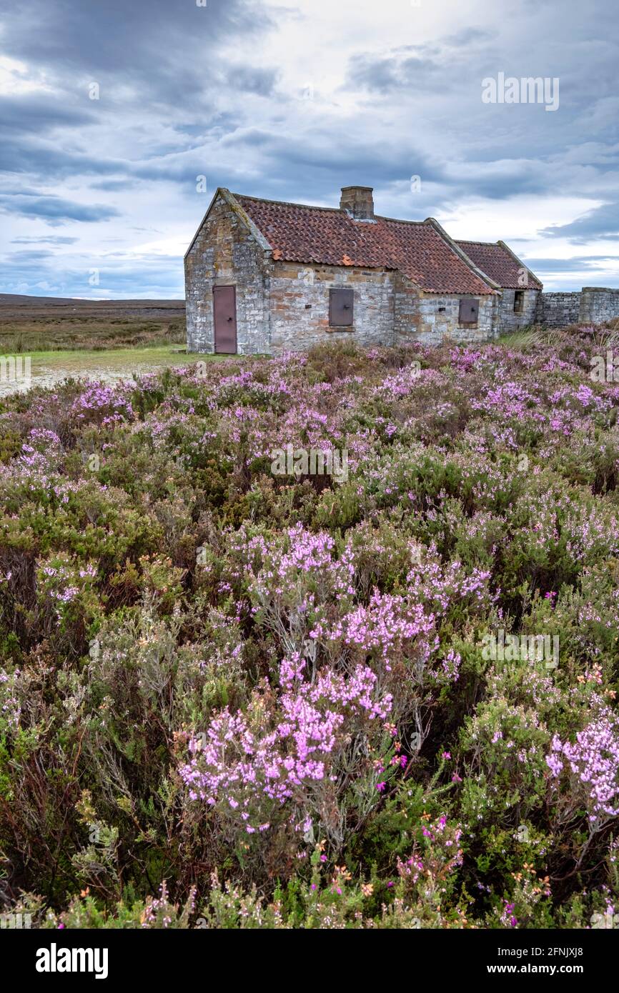 Shooting House and Heather on North York Moors Stock Photo