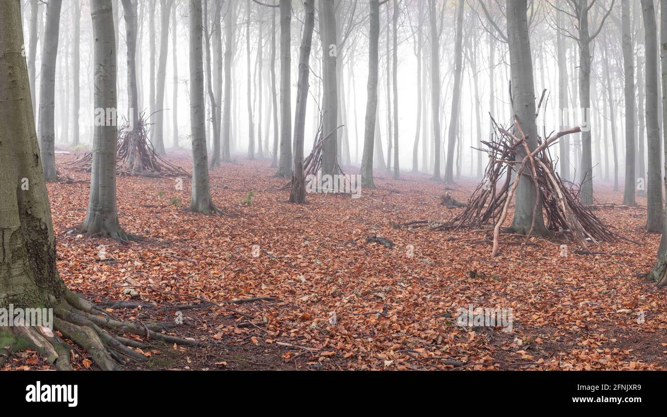 Misty Wood with some dens built out of branches. Stock Photo