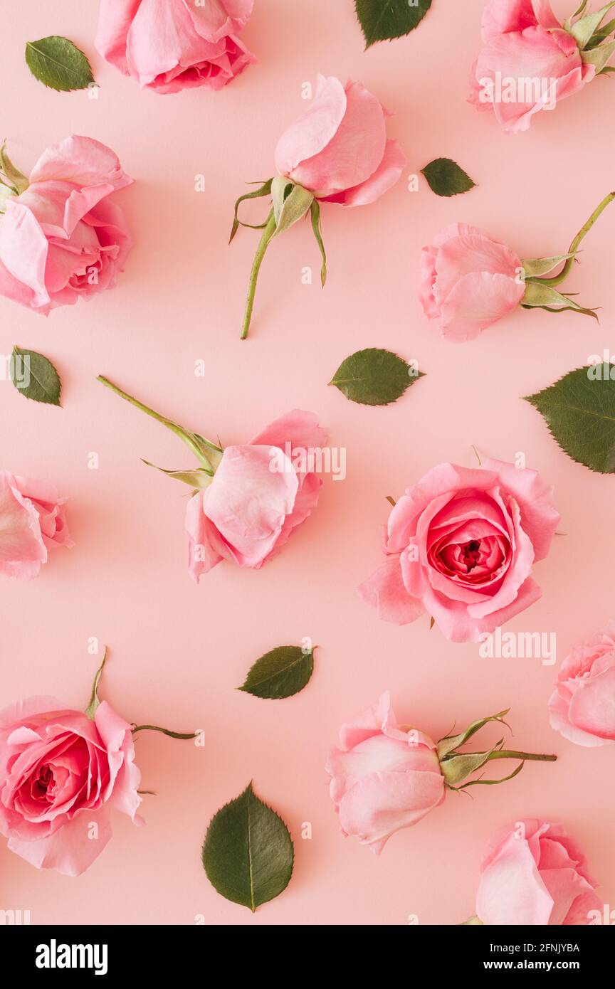 Họa tiết hoa hồng màu hồng xếp tự do với hoa hồng xanh: Họa tiết hoa hồng màu hồng xếp tự do và hoa hồng xanh tuyệt đẹp này sẽ khiến bạn ngỡ ngàng. Hãy xem thử hình ảnh này và tìm thấy sự tự do và độc đáo của sự phối hợp này!