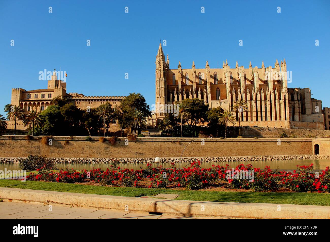 Palma Cathedral Stock Photo
