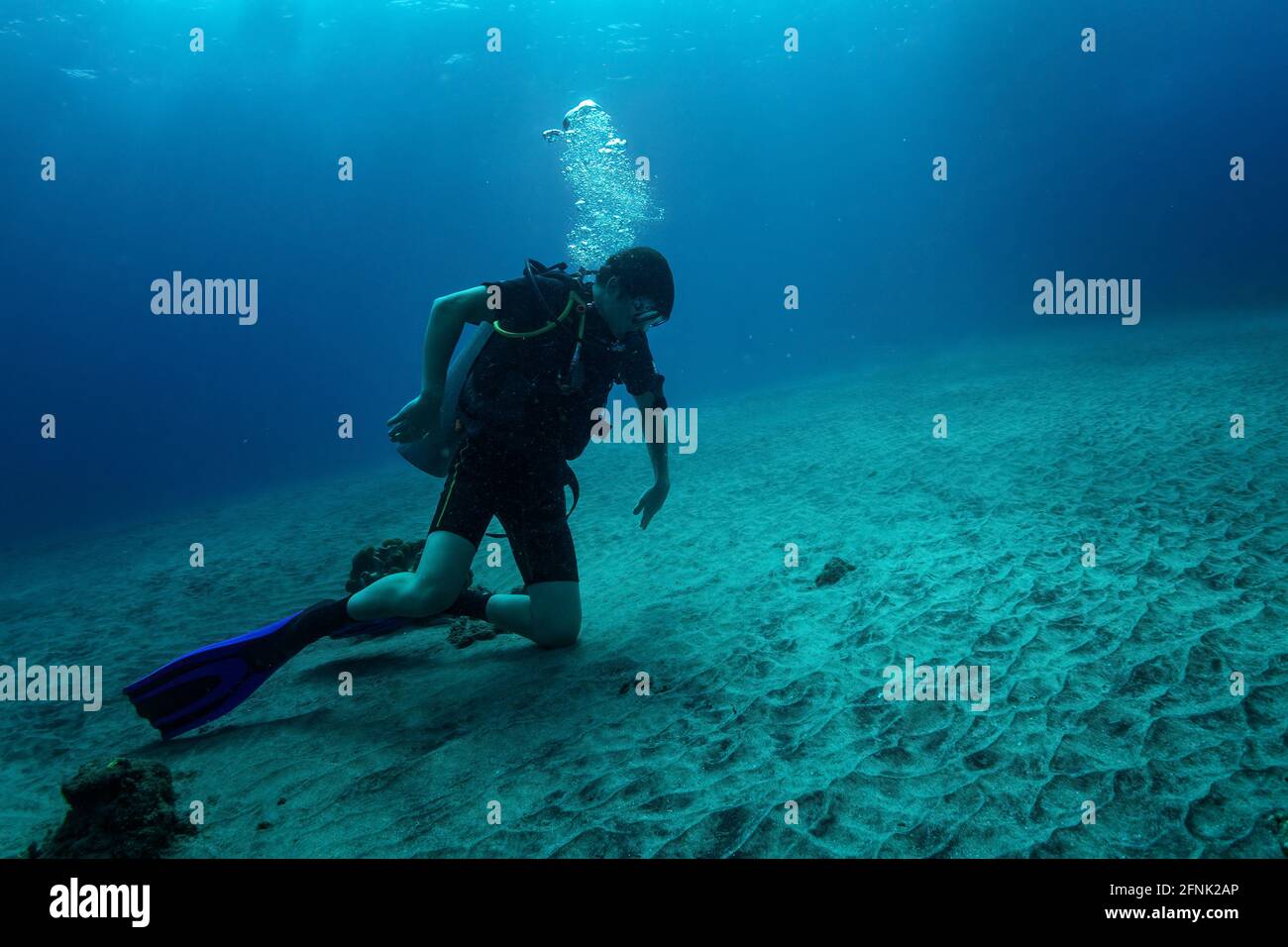 Diver pose hi-res stock photography and images - Alamy