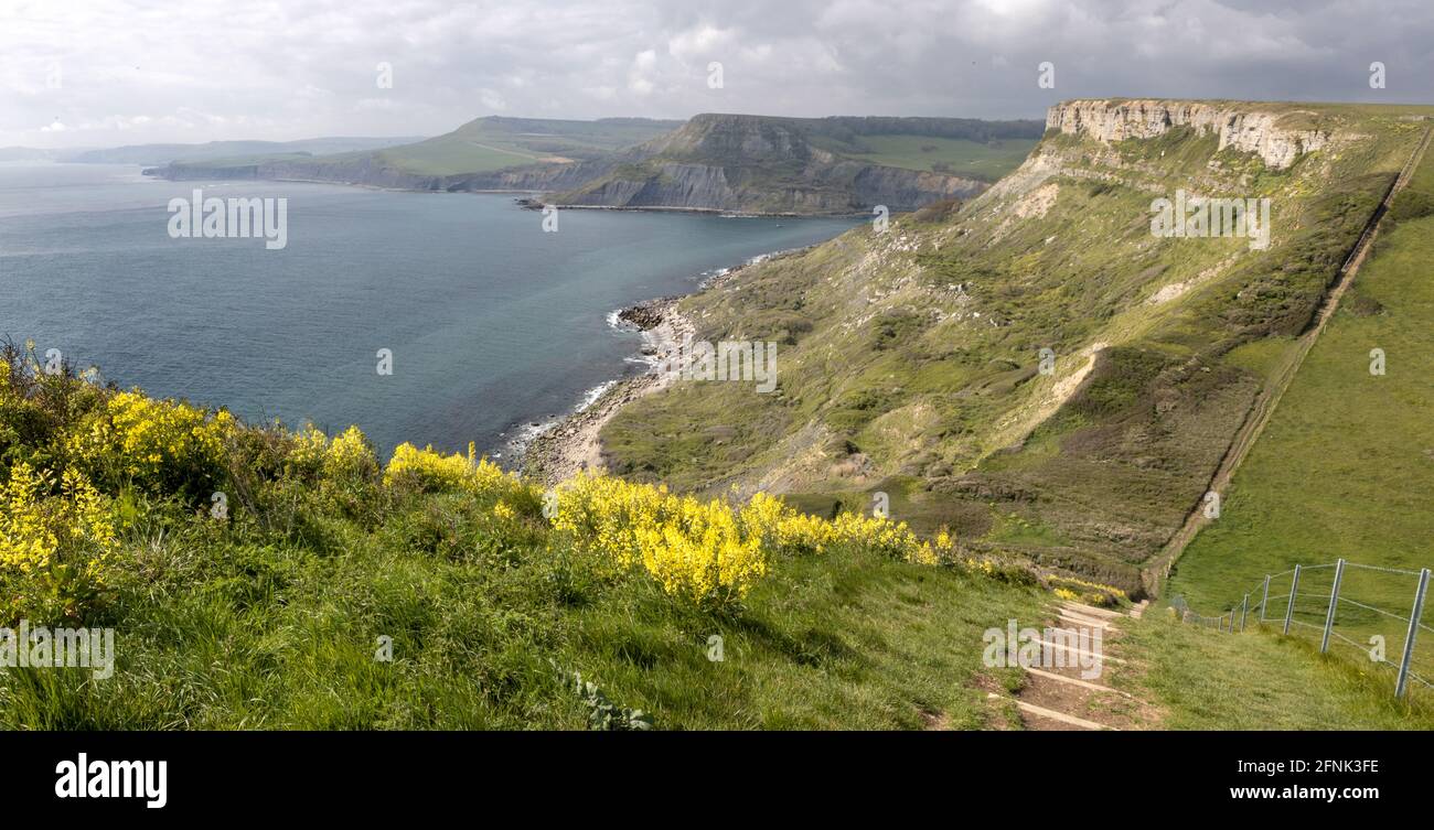 Steep paths to Emmetts Hill, St Aldhelm's Head aka St Alban's Head, Jurassic Coast, Dorset Coast Path, Dorset, UK Stock Photo