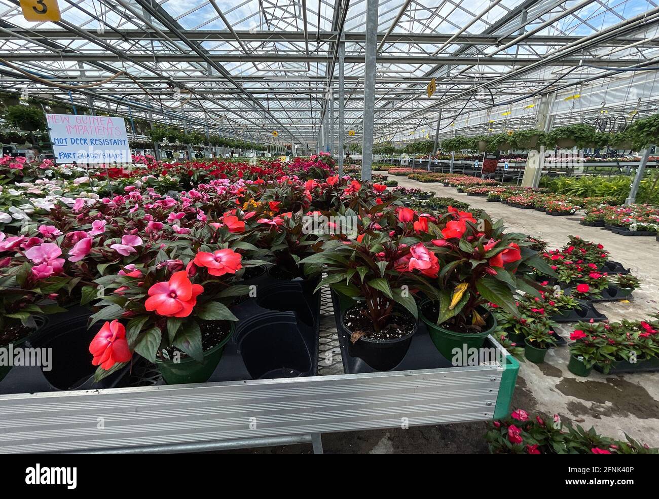 Center plant displays hi-res stock photography and images - Alamy