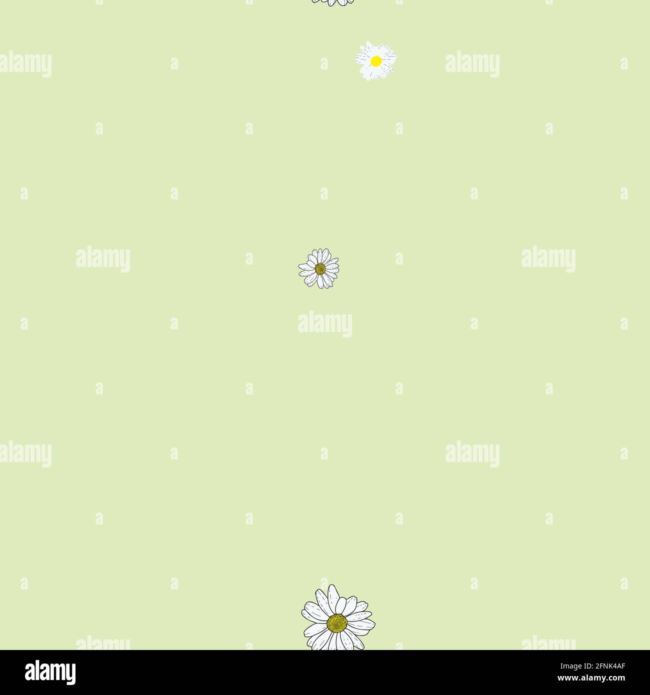 Vector background white daisies flowers and wild flower Seamless ...