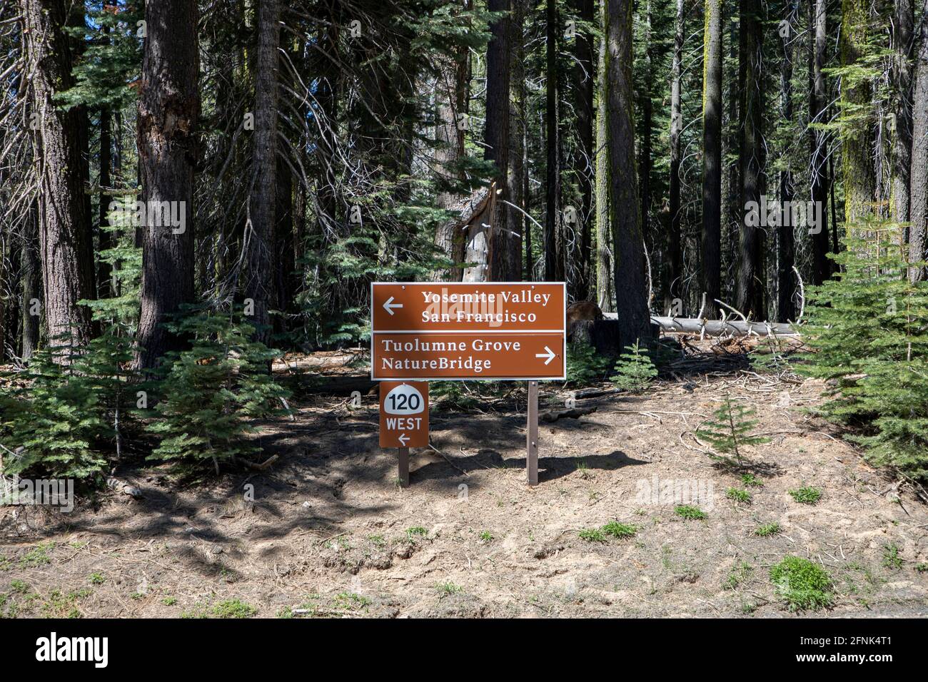 Road signs on the way to Yosemite Valley via Highway 120 and Crane Flats. Stock Photo