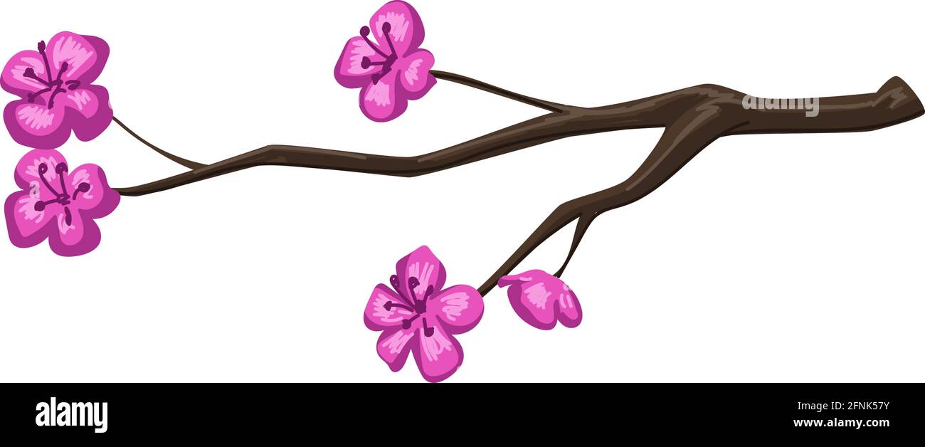 Spring cherry tree blossom, branch with flowers Stock Vector