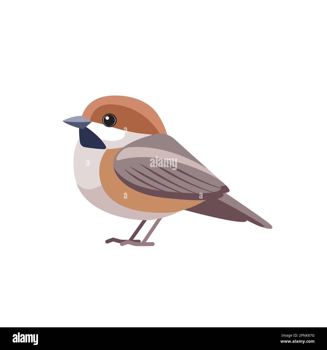 Chestnut-backed Chickadee, Poecile rufescens . Sparrow bird cartoon flat style beautiful character of ornithology, vector illustration isolated on Stock Vector Image & Art - Alamy Chestnut-backed Chickadee, Poecile rufescens . Sparrow bird cartoon flat style beautiful character of ornithology, vector illustration isolated on Stock Vector Image & Art - Alamy