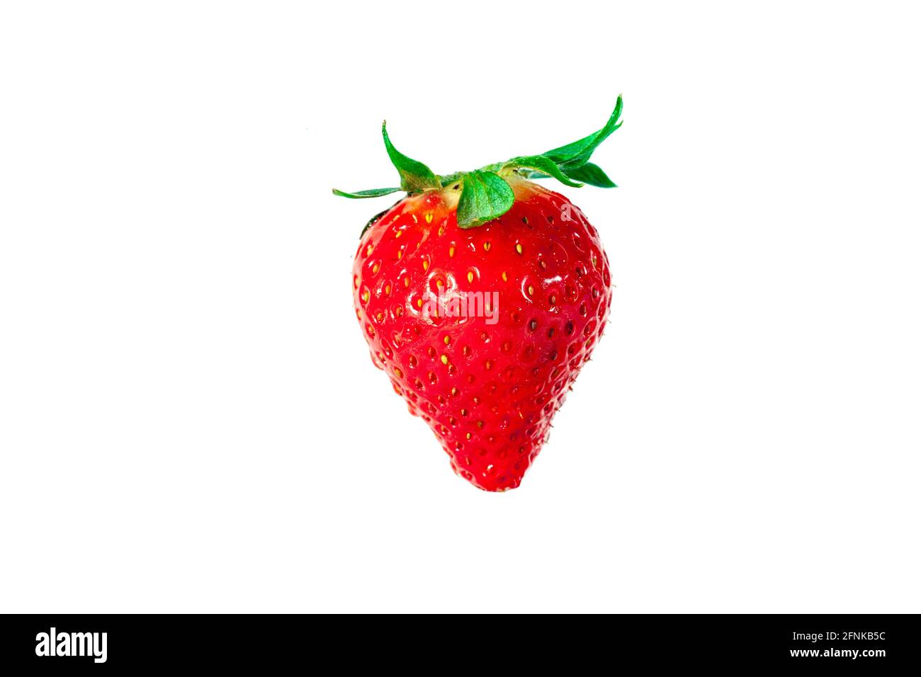 Studio shot single natural hi-res stock photography and images - Alamy