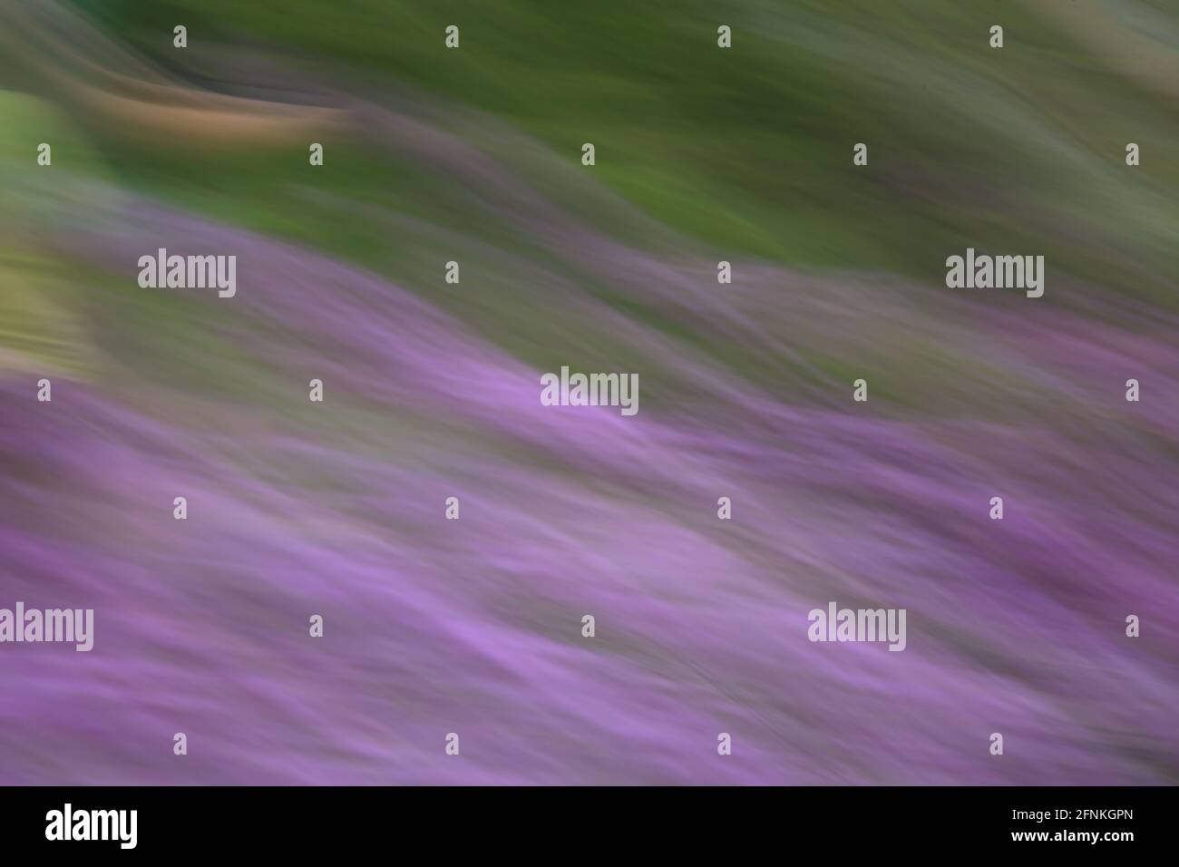 Soft pastels hi-res stock photography and images - Alamy