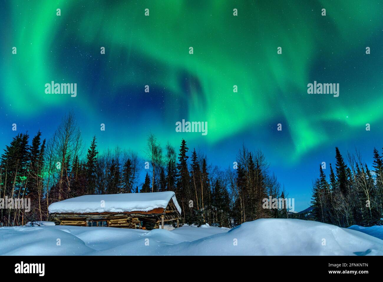Northern Lights (aurora borealis) in Wiseman village above the Arctic Circle off the Dalton Highway, Alaska. Stock Photo