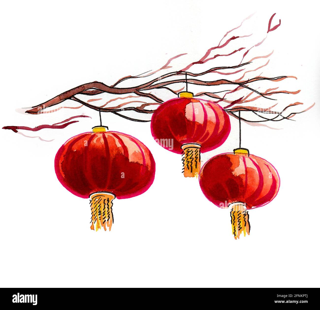Red Chinese lanterns hanging on tree branches. Ink and watercolor drawing  Stock Photo - Alamy