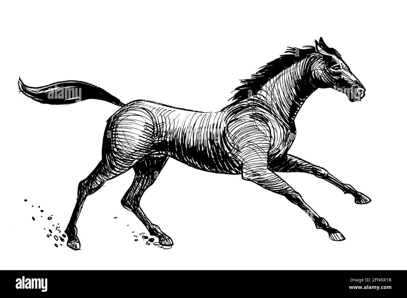 Ink black and white drawing of a running racing horse Stock Photo - Alamy