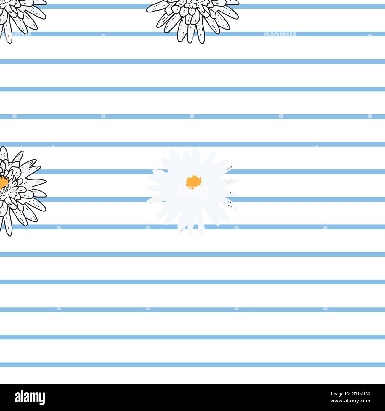 Vector white background daisy flowers and wild flowers. Seamless ...