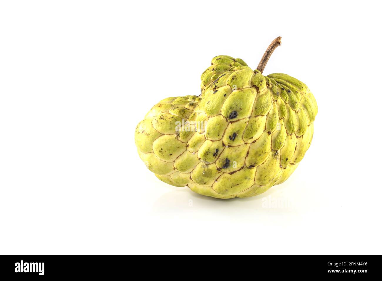 Sugar Apple ( custard apple, Annona, sweetsop,Cherimoya fruit ) on