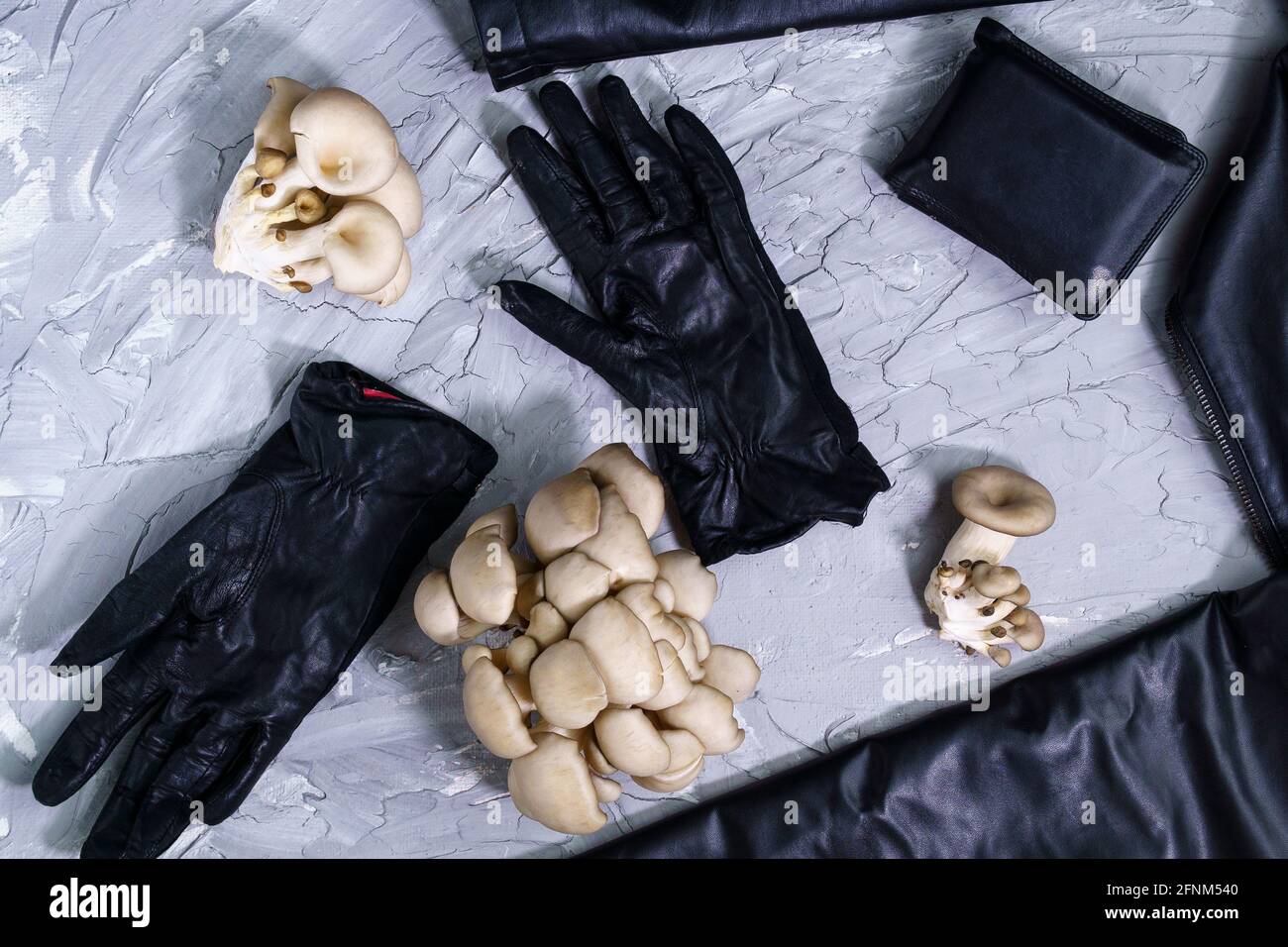 Mushroom eco leather things with oyster mushrooms. eco-friendly alternative to skin made from fungal spores and plant fibers on a biological basis Stock Photo