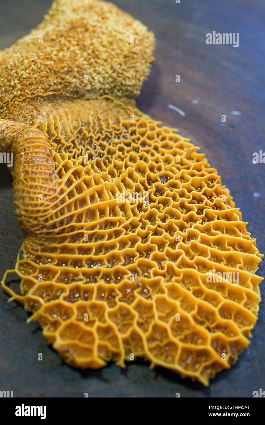 A delicious Chinese dish, braised beef tripe, lomei Stock Photo Alamy