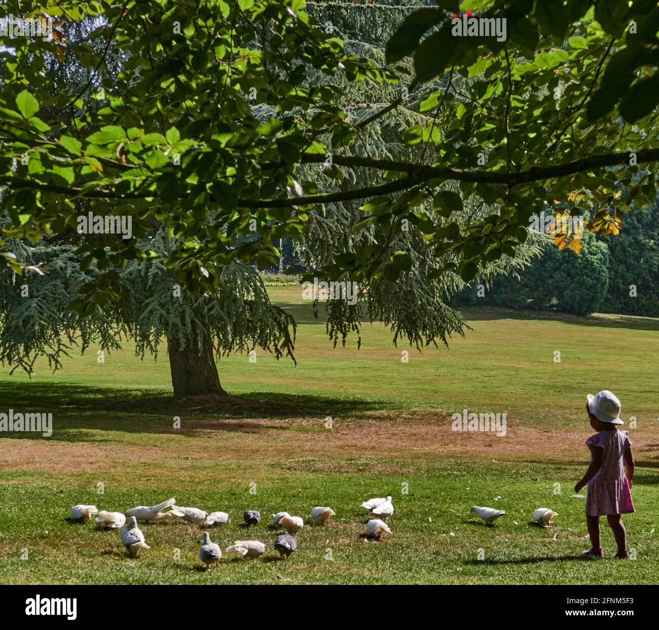 France. Rennes; city; Ille-et-Vilaine department, Brittany. The little girl in the hat running towards the doves in the so-called French gardens were Stock Photo