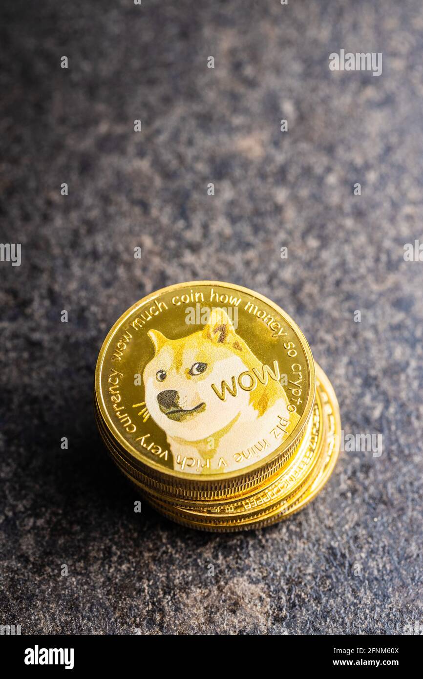 Black dogecoin hi-res stock photography and images - Alamy