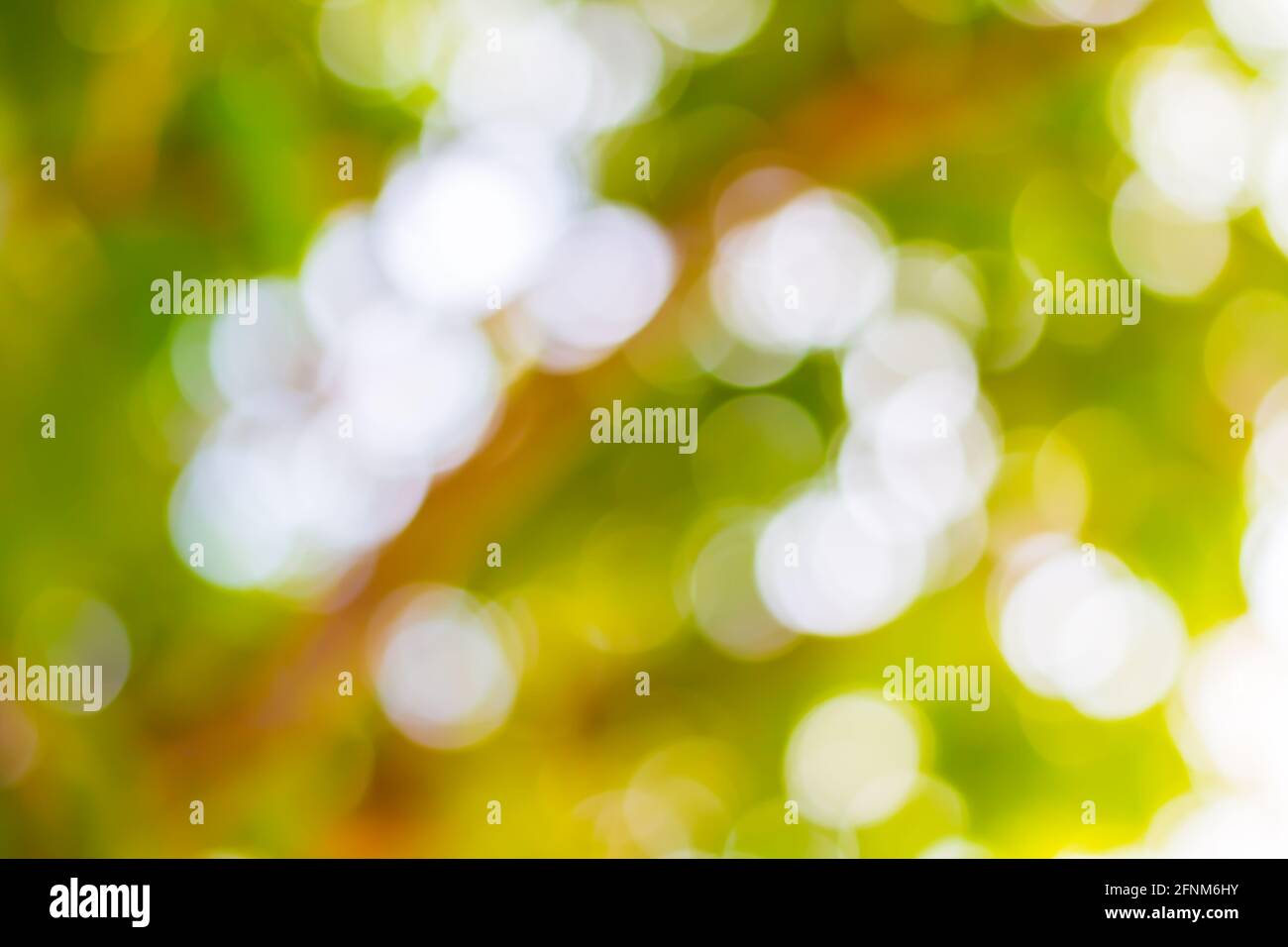 Defocus green hi-res stock photography and images - Alamy