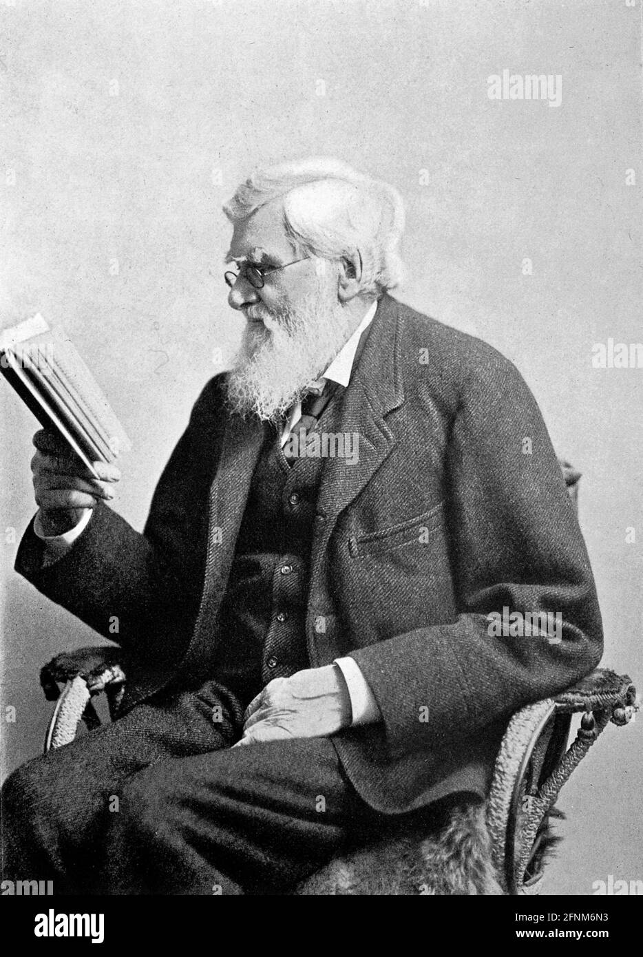 Wallace, Alfred Russell, 8.1.1823 - 7.11.1913, British zoologist, half length, reading, circa 1900, ADDITIONAL-RIGHTS-CLEARANCE-INFO-NOT-AVAILABLE Stock Photo