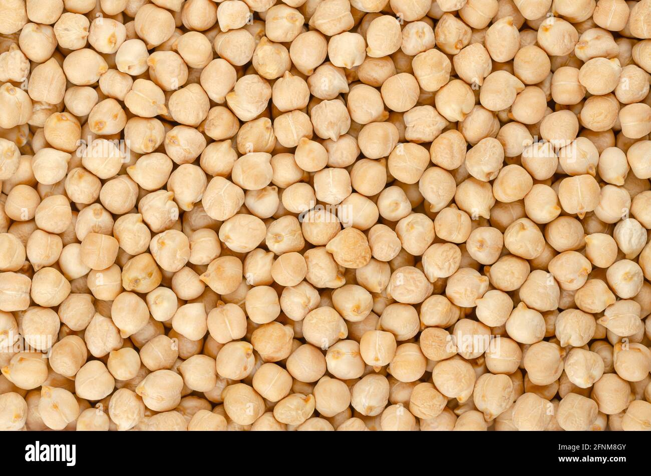 Dried chickpeas, background from above. Whole and light tanned chick peas, a high in protein legume and fruit of Cicer arietinum. Stock Photo