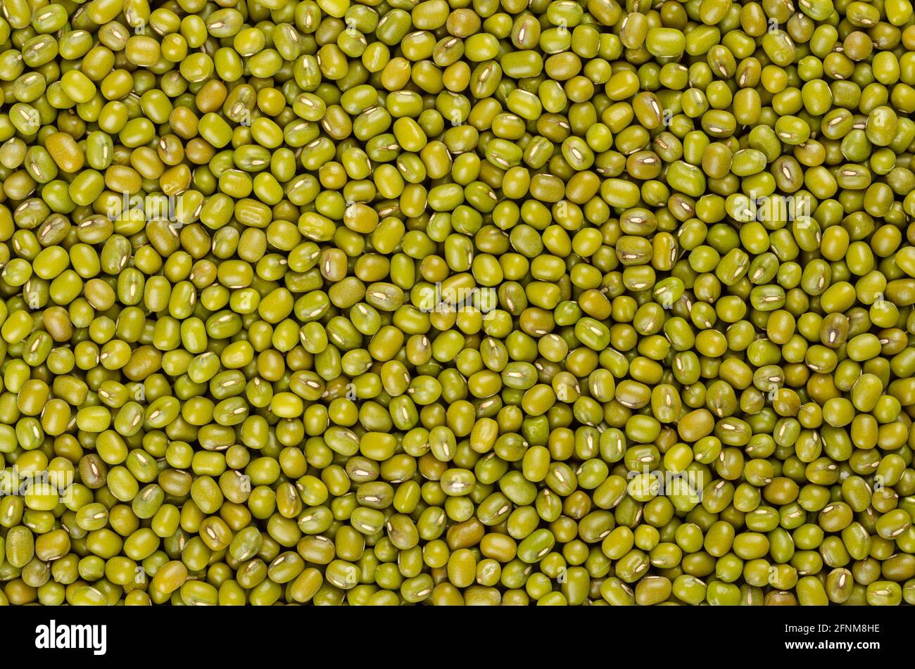 Mung beans, background, from above. Also known as green gram, maash, moong, monggo or munggo. Whole, dried, raw seeds of Vigna radiata, a legume. Stock Photo