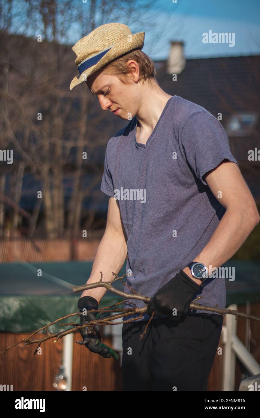 Hardworking man in work clothes uses loppers to split wood into smaller sticks to fit into the kiln for burning. Work in the garden. Grooming the plot Stock Photo