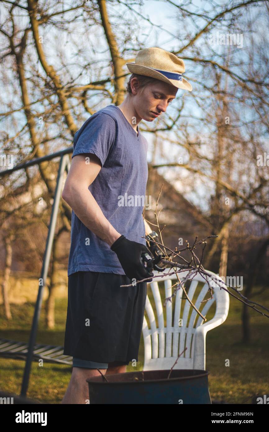 Hardworking man in work clothes uses loppers to split wood into smaller sticks to fit into the kiln for burning. Work in the garden. Grooming the plot Stock Photo