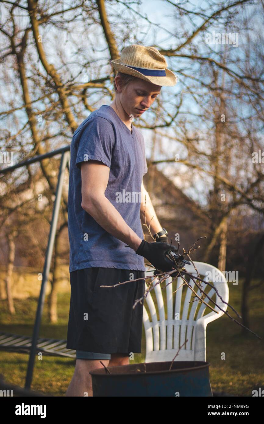 Hardworking man in work clothes uses loppers to split wood into smaller sticks to fit into the kiln for burning. Work in the garden. Grooming the plot Stock Photo