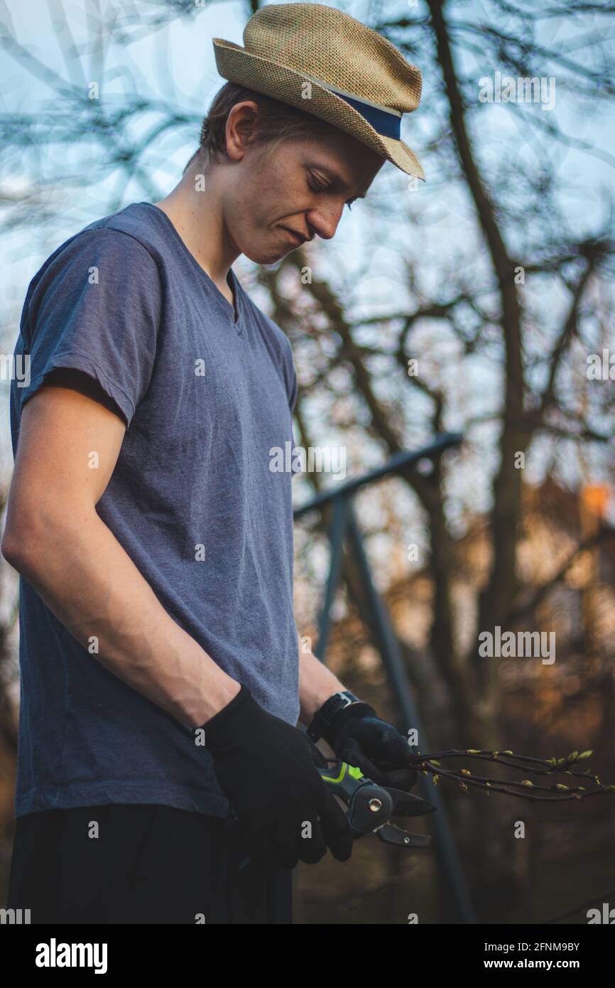 Hardworking man in work clothes uses loppers to split wood into smaller sticks to fit into the kiln for burning. Work in the garden. Grooming the plot Stock Photo