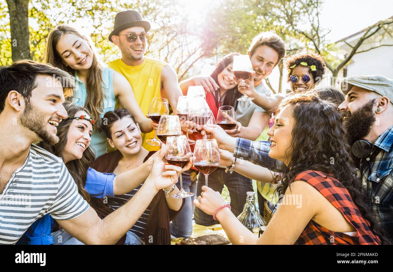 Group of friends toasting red wine having fun outdoor cheering at bbq picnic - Young people enjoying summer time together at lunch garden party Stock Photo