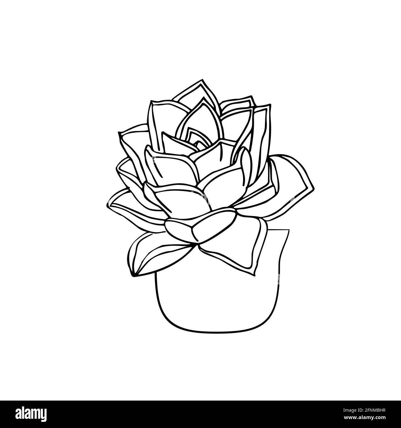 Line art black tropical potted house plant succulent sempervivum machogany isolated on white Stock Vector